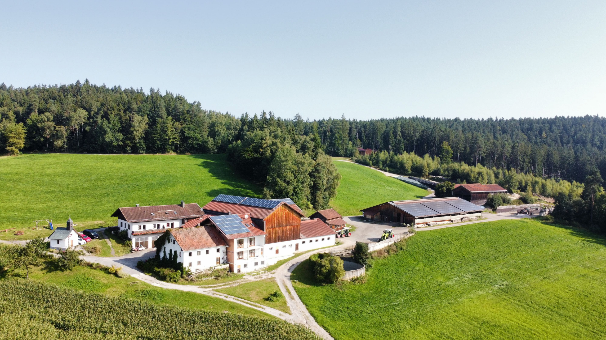 dji_fly_20250813_090554_526_1755068765923_photo_optimized